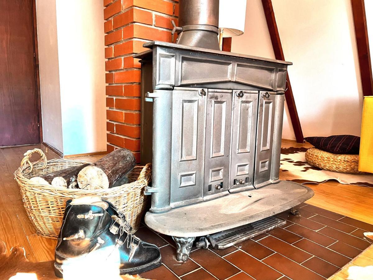 Kuca Na Kopaoniku - Rani Mraz Villa Ngoại thất bức ảnh